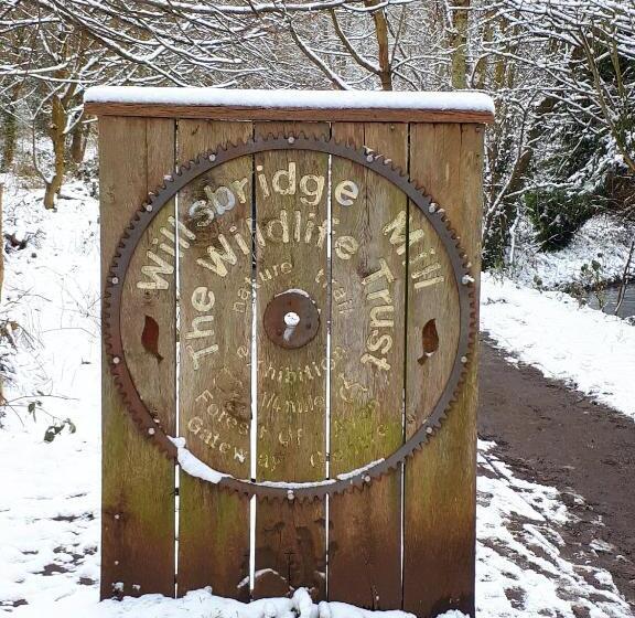 بنسيون Fox View Guesthouse