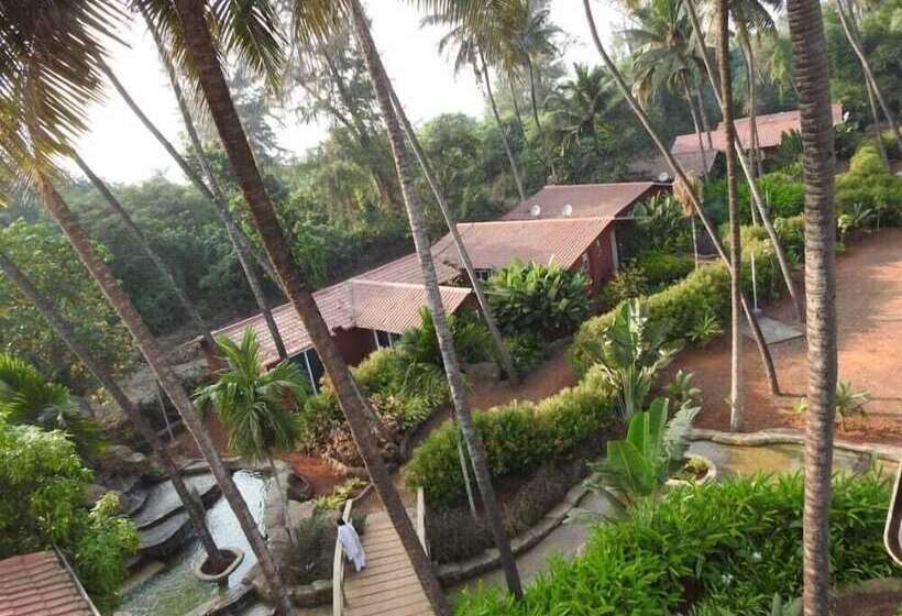 The Stream Resort