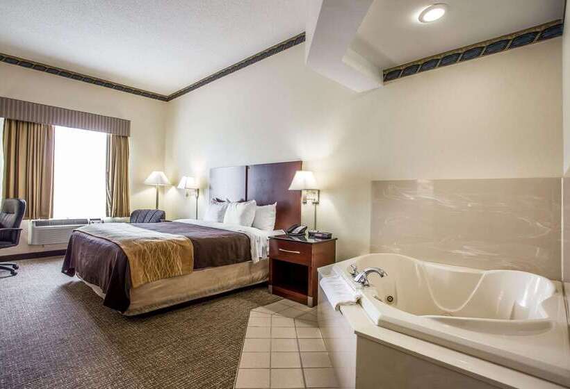 호텔 Comfort Inn & Suites Ft.jackson Maingate