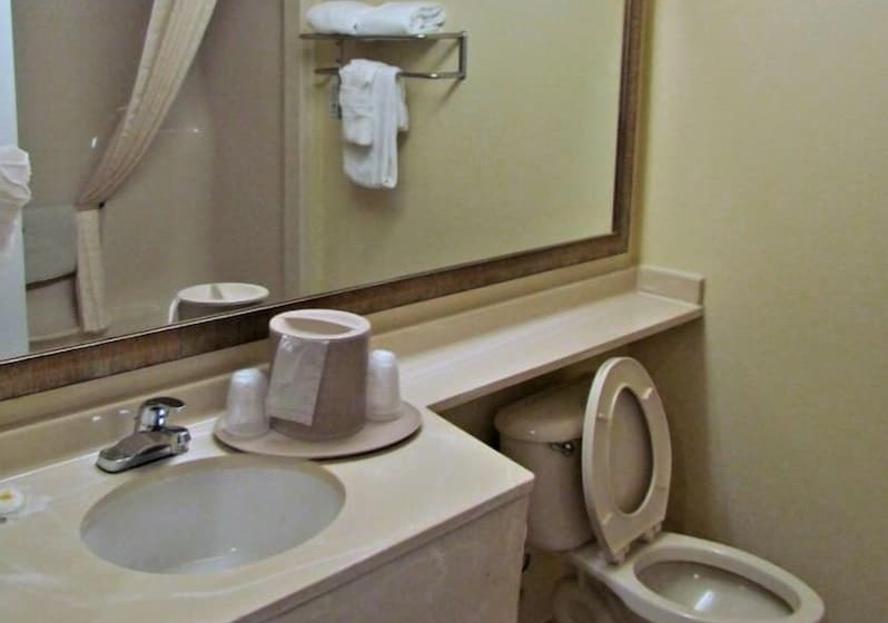 호텔 Comfort Inn & Suites Ft.jackson Maingate