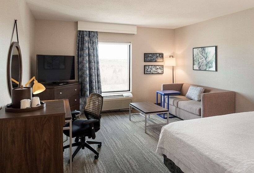 هتل Hampton Inn & Suites By Hilton Halifax   Dartmouth