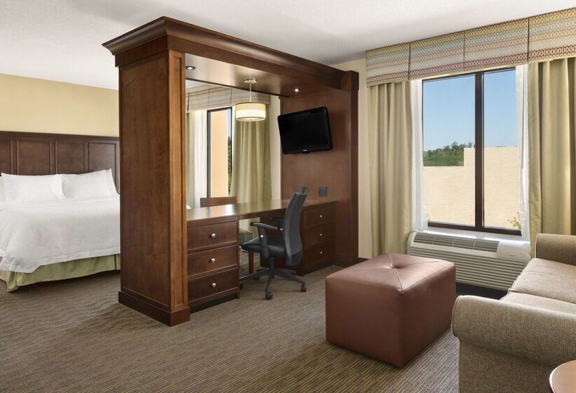 هتل Hampton Inn & Suites Birmingham/280 Easteagle Point