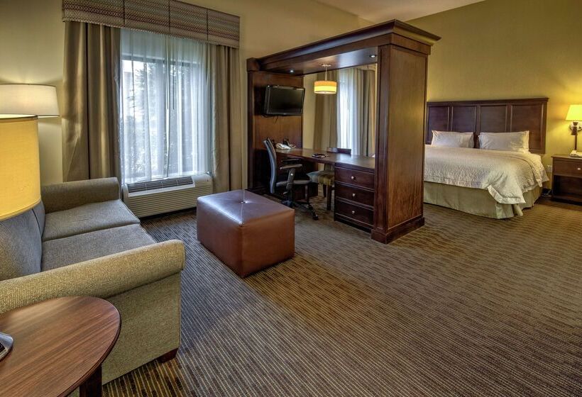 هتل Hampton Inn & Suites Birmingham/280 Easteagle Point