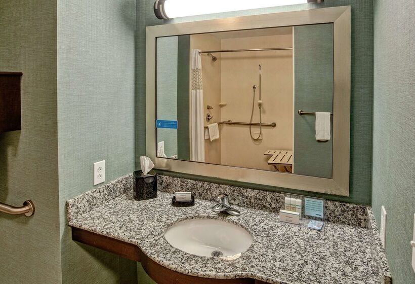 هتل Hampton Inn & Suites Birmingham/280 Easteagle Point