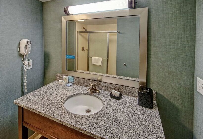 هتل Hampton Inn & Suites Birmingham/280 Easteagle Point