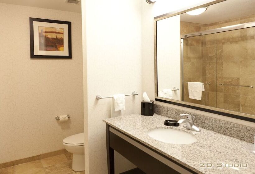 فندق Hampton Inn & Suites By Hilton Lethbridge