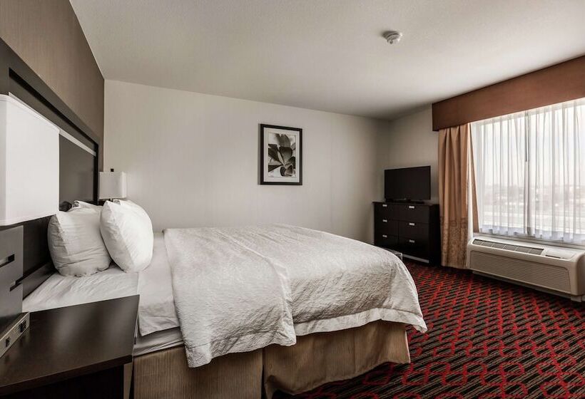 فندق Hampton Inn & Suites By Hilton Lethbridge