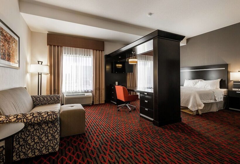 فندق Hampton Inn & Suites By Hilton Lethbridge