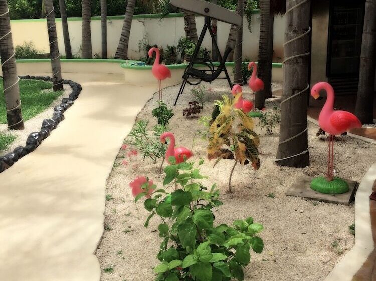Villas Coco Resort  All Suites