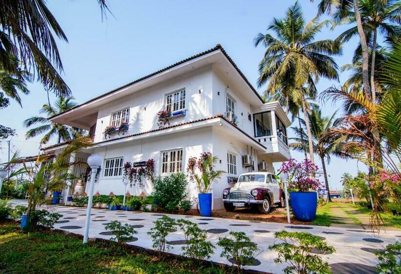 민박 White House In Goa, Truly Amazing Experience