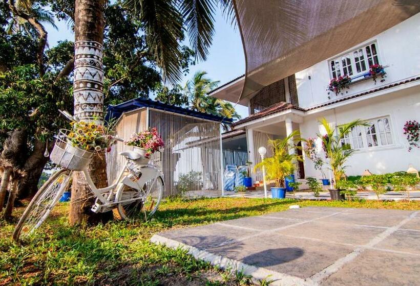 민박 White House In Goa, Truly Amazing Experience