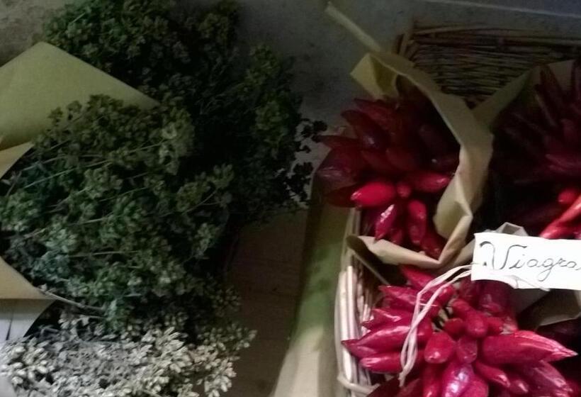 ベッドアンドブレックファースト Life S Hotel B