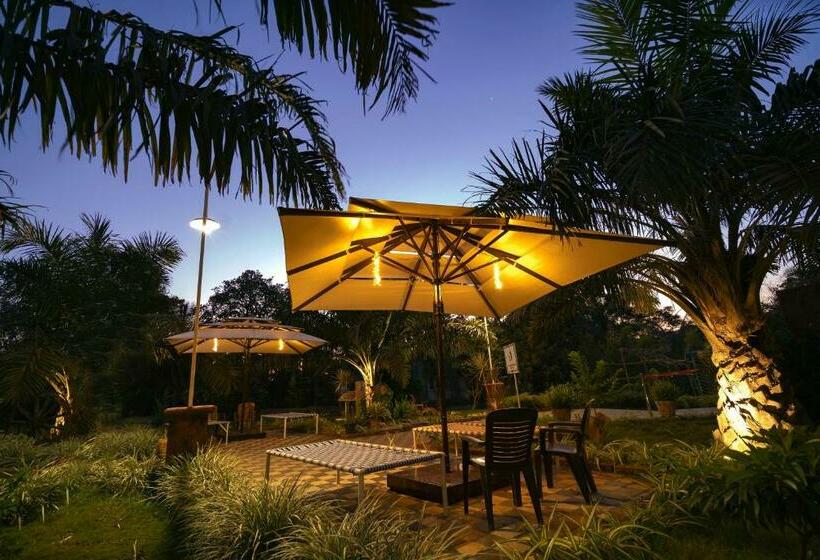 בית מלון כפרי The Palmnest Resort