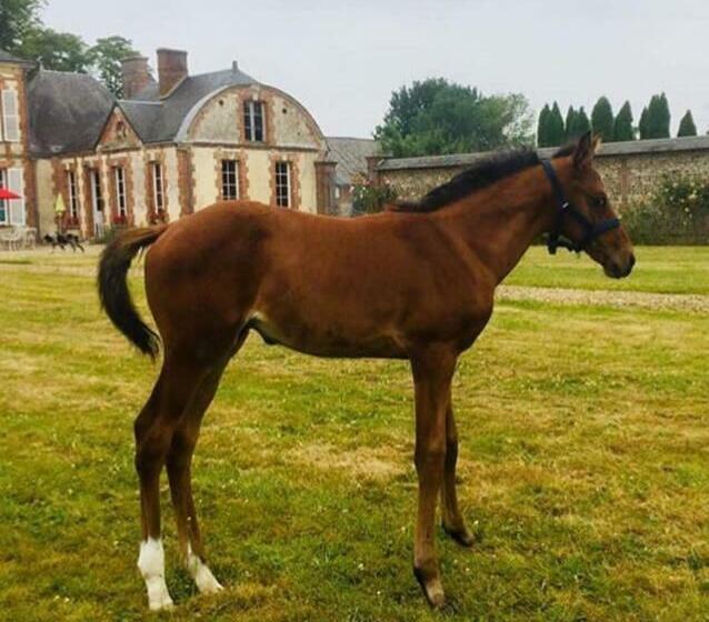 بنسيون Rouge Maison