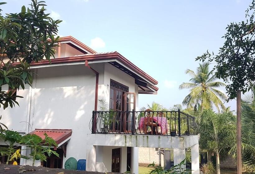 膳宿费 The Villa Sun Shine