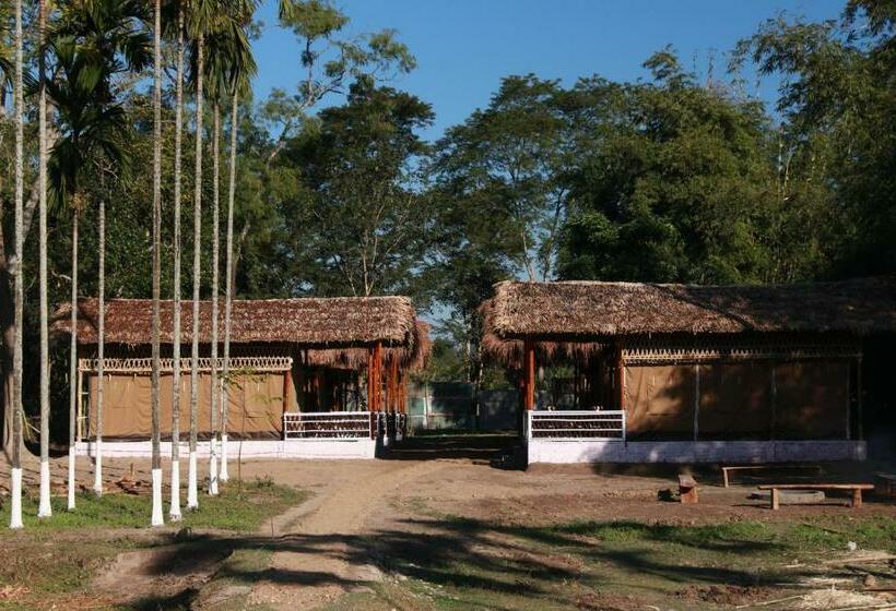 استراحتگاه Kaziranga Eco Camp