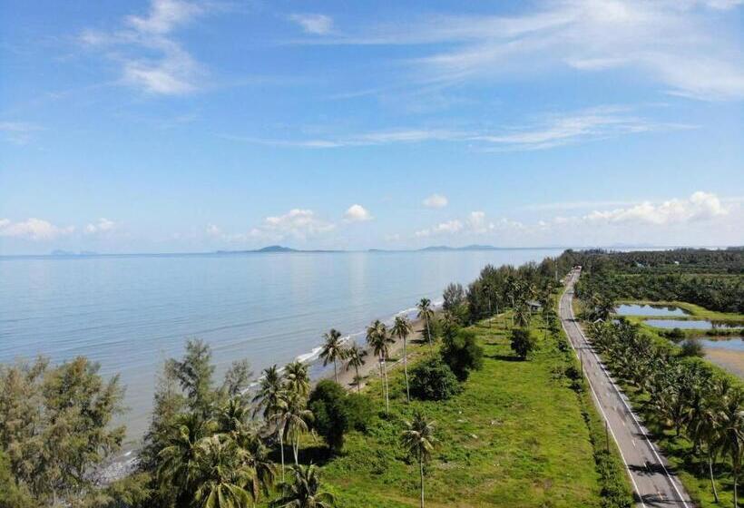 هتل The Chevalley Beach Resort