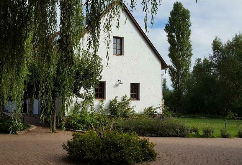 Bed and Breakfast Lesence Major