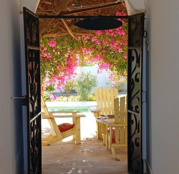 مبيت وإفطار Menzel Caja