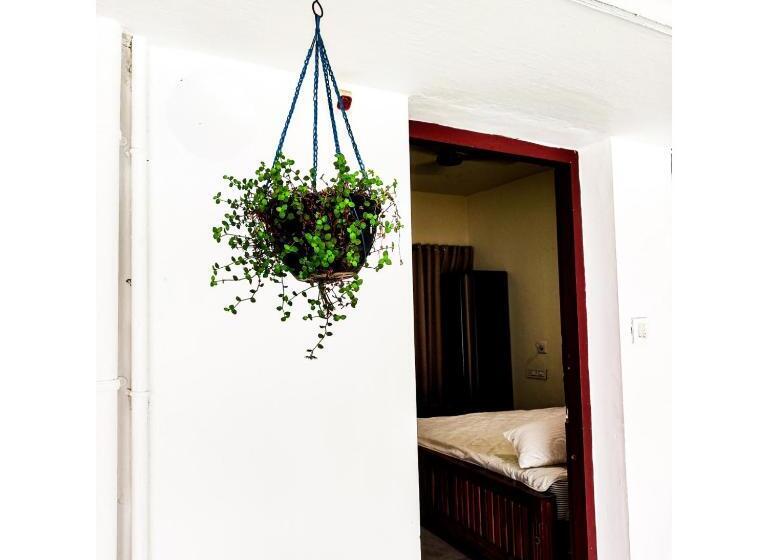 בית מלון כפרי Nature Villa Kochi