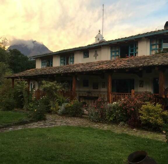 هاستل Las Palmeras Inn