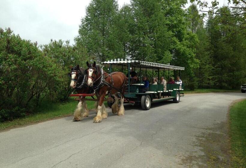 Elmhirst's Resort