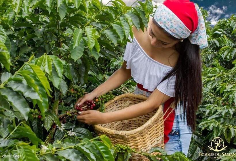 هتل Bosques Del Saman Alcala