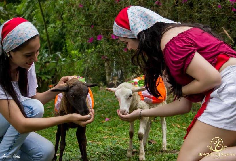 هتل Bosques Del Saman Alcala