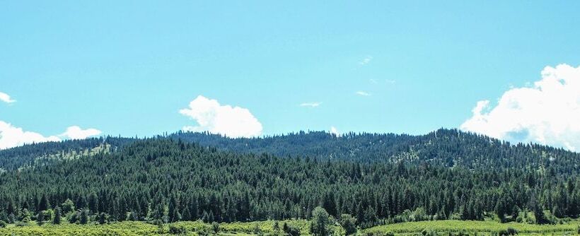 مُتل Wedge Mountain Inn