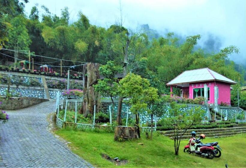 پانسیون Penginapan Puncak Dp