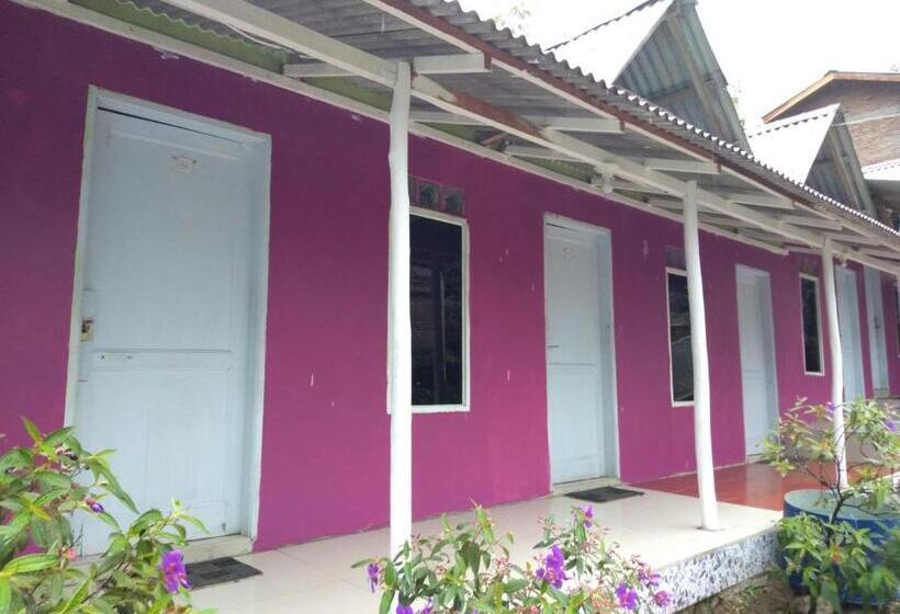 پانسیون Penginapan Puncak Dp