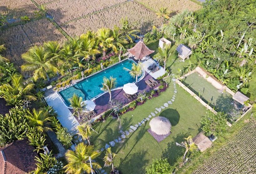 호텔 Ubud Art Resort
