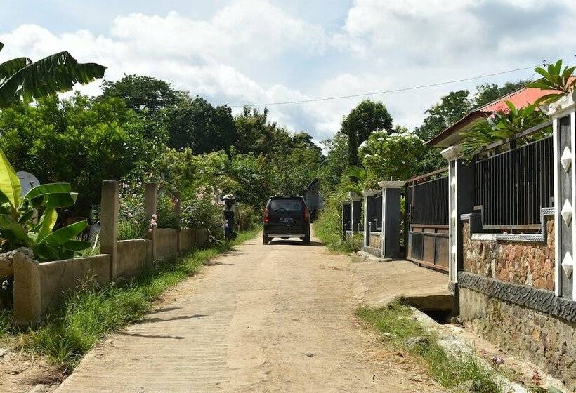 پانسیون Pinki Mente