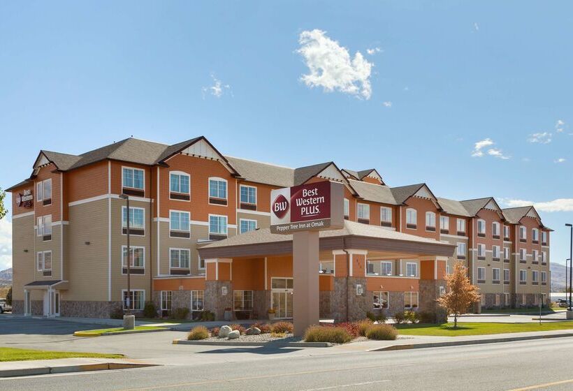 فندق Best Western Plus Peppertree Inn At Omak