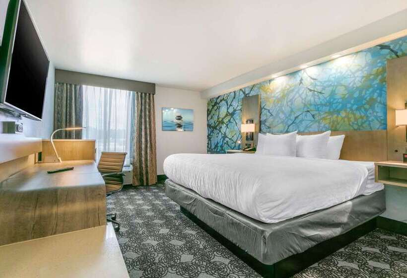 酒店 Clarion Inn