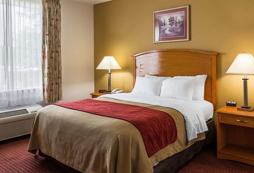 هتل Comfort Inn & Suites Chesapeake  Portsmouth