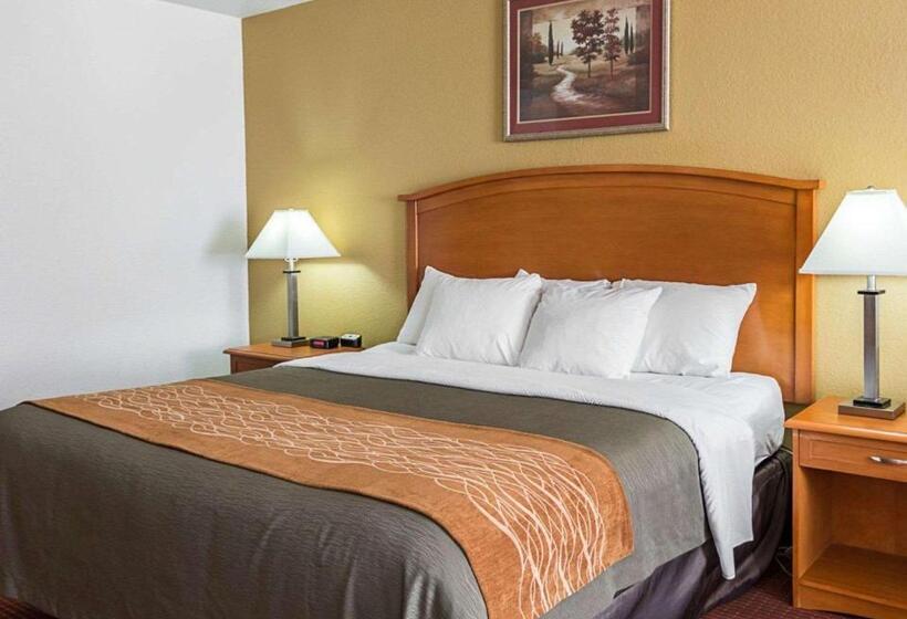 هتل Comfort Inn & Suites Chesapeake  Portsmouth