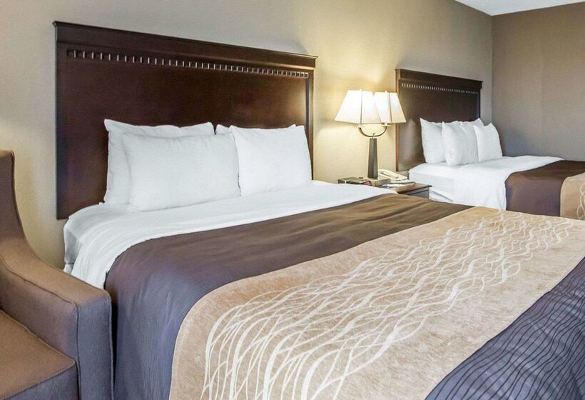 Отель Comfort Inn & Suites Near Tinley Park Amphitheater