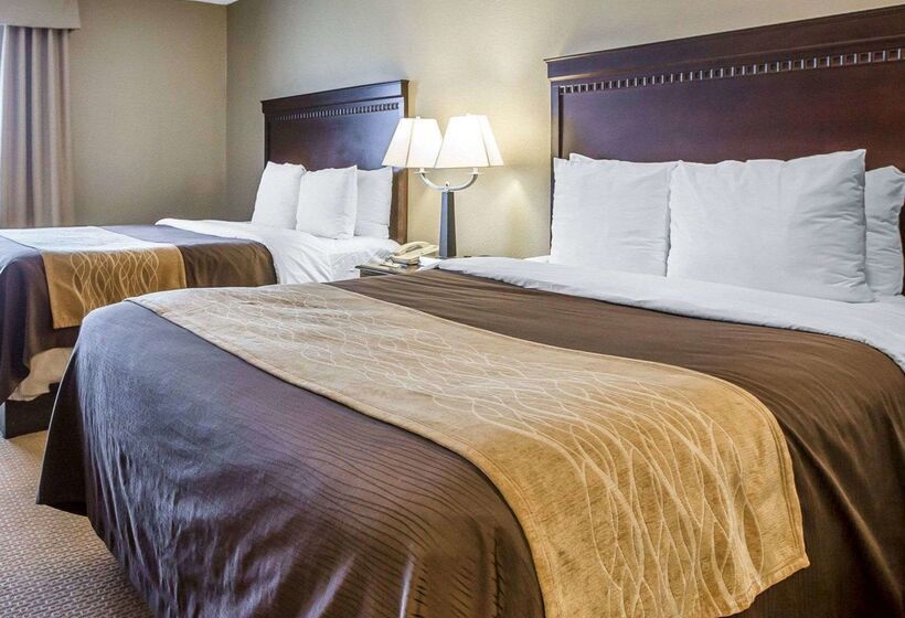 Отель Comfort Inn & Suites Near Tinley Park Amphitheater