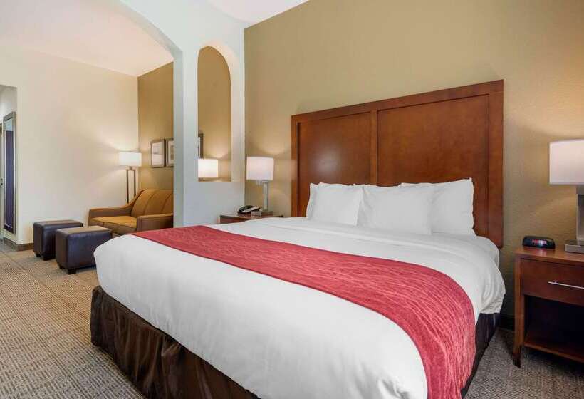فندق Comfort Inn & Suites Northeast  Gateway