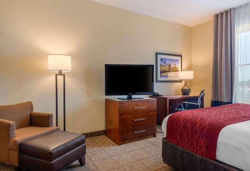 فندق Comfort Inn & Suites Northeast  Gateway