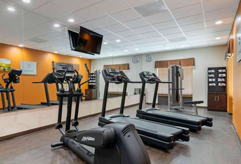 هتل Comfort Suites Byron Warner Robins