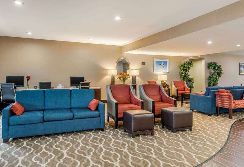 هتل Comfort Suites Daytonwright Patterson