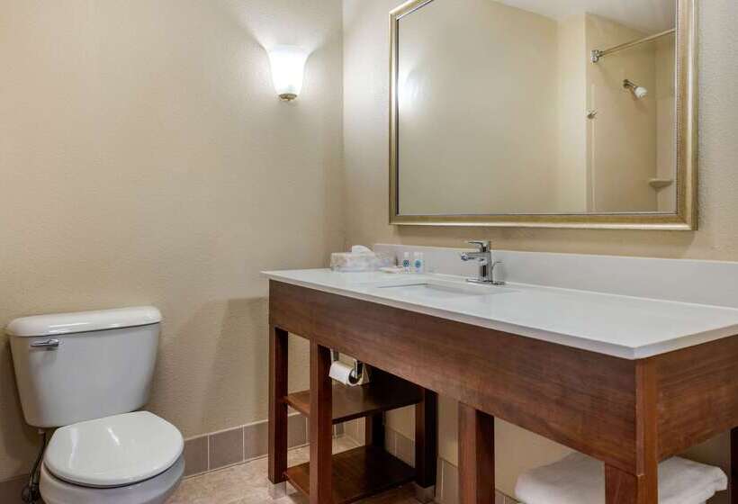 هتل Comfort Suites Daytonwright Patterson