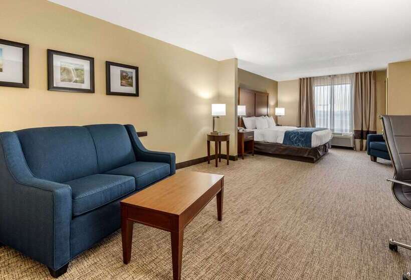 هتل Comfort Suites Daytonwright Patterson