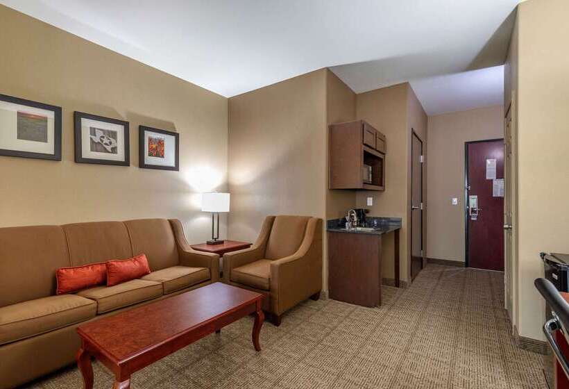 酒店 Comfort Suites