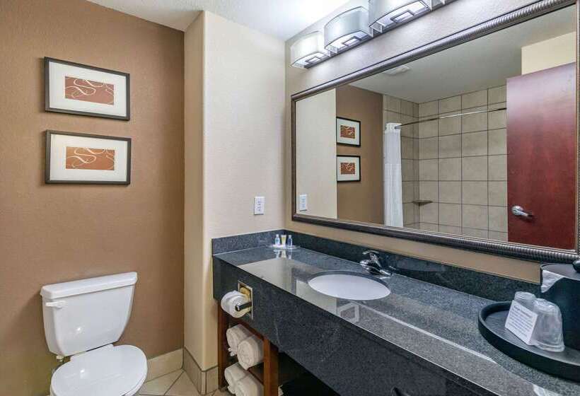 酒店 Comfort Suites