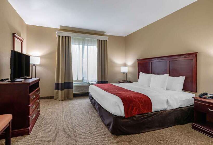 酒店 Comfort Suites