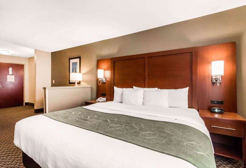 هتل Comfort Suites Tuscaloosa Near University