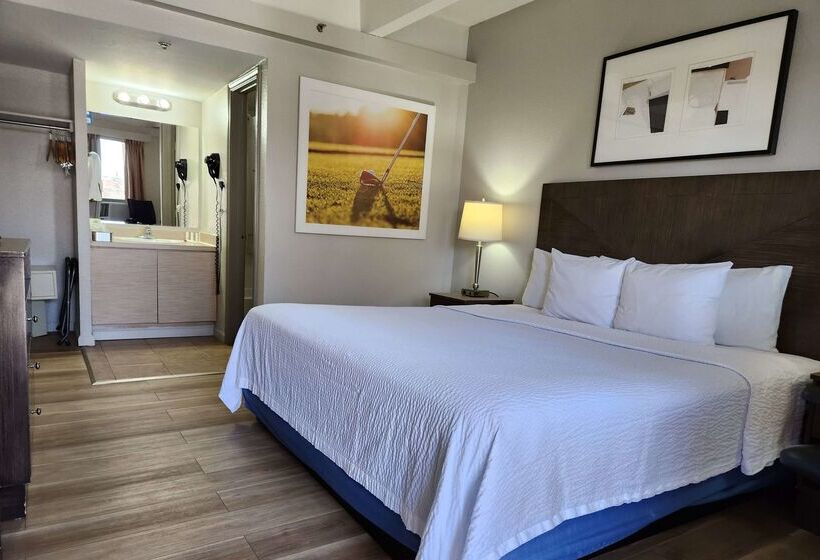 هتل Days Inn By Wyndham Denver Downtown